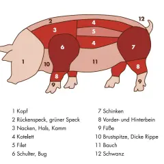 Zerlegung eines Schweins: Nummer 7 zeigt den Schinken, ein beliebtes Stück Fleisch.