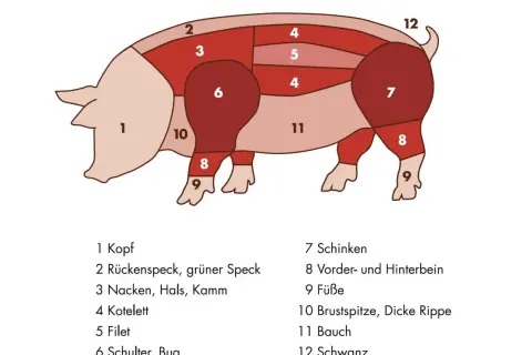 Zerlegung eines Schweins: Nummer 7 zeigt den Schinken, ein beliebtes Stück Fleisch.