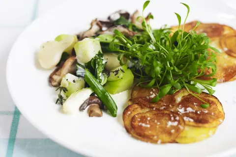 Knusprige Kartoffelscheiben mit Pilz-Gemüse-Ragout und Kresse. Perfekt, was passt zu Kartoffelpuffer!