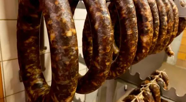 Reife, dunkle Würste hängen an einer Stange. Sie sehen aus wie eine traditionelle Chorizo, die zum Trocknen bereit ist.