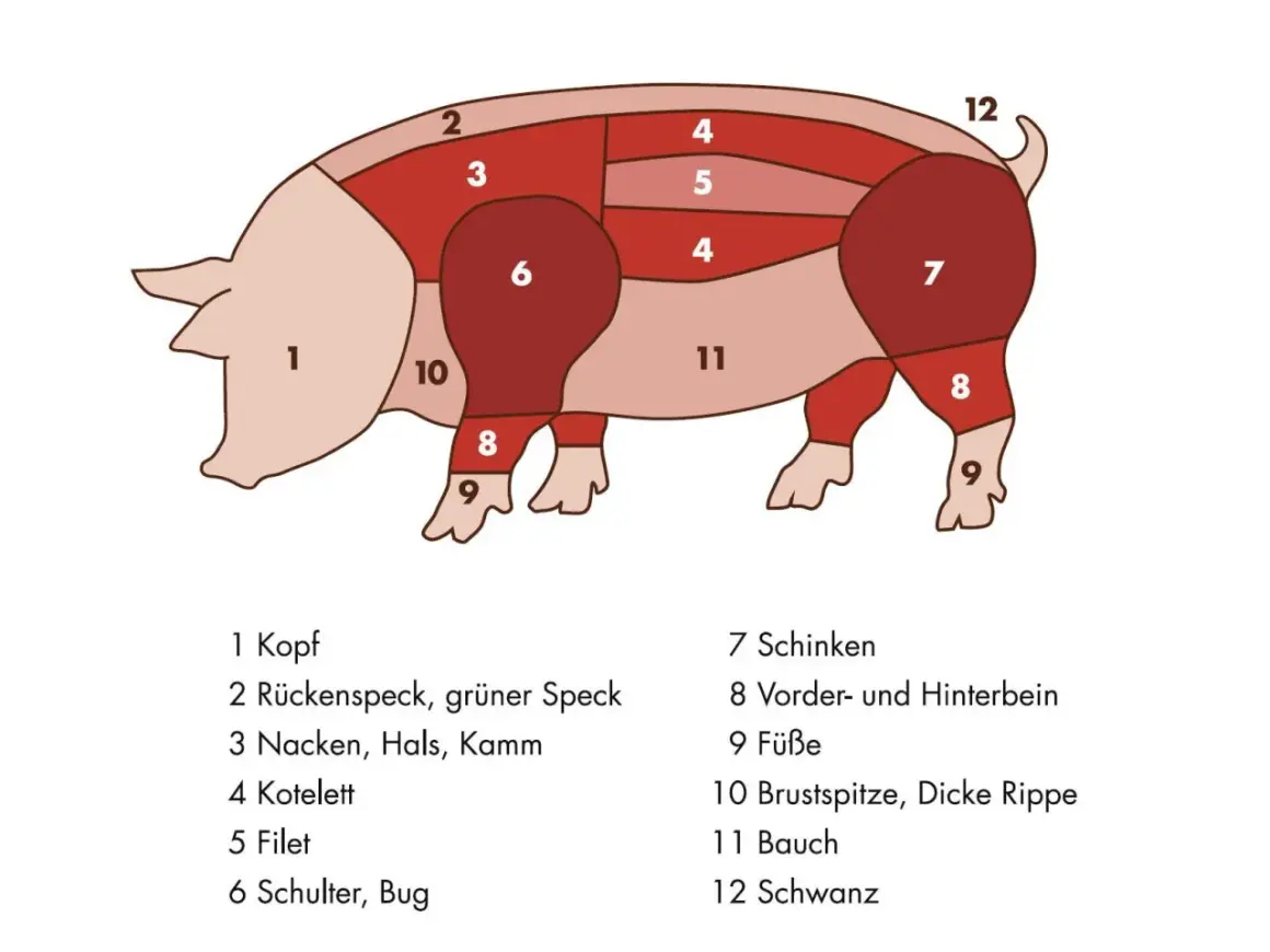 Zerlegung eines Schweins: Nummer 7 zeigt den Schinken, ein beliebtes Stück Fleisch.