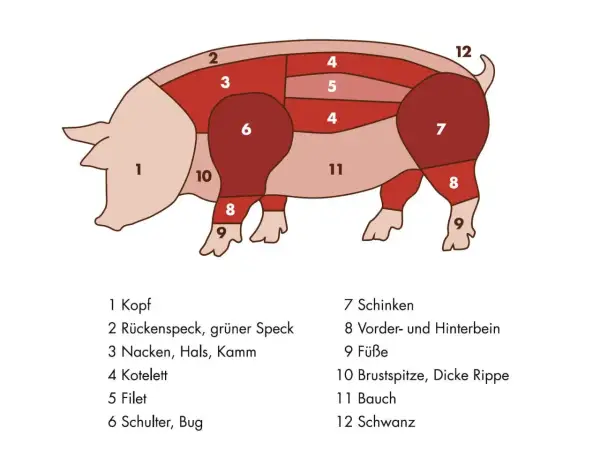 Zerlegung eines Schweins: Nummer 7 zeigt den Schinken, ein beliebtes Stück Fleisch.